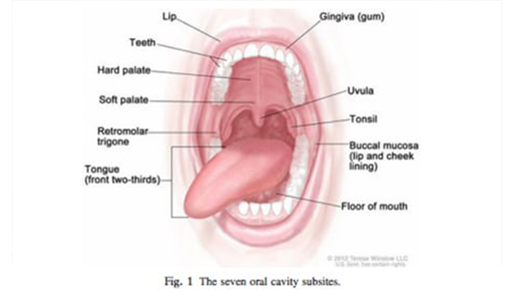 oral-cancer